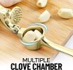 Kitchen Premium Garlic Press with Soft