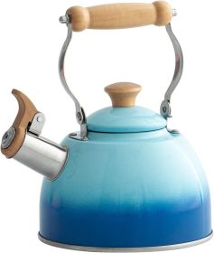 Tea Kettle, Tea Pot with Cool Touch Ergonomic Handle, Teapot Food Grade Stainless Steel, Tea Kettle Stovetop, Kettle Teapot, Whistling Tea Kettle (Color: Gradient Blue(1.6QT))