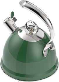 Tea Kettle Stovetop, 2.5 Quart Whistling Stainless Steel Tea Pot, 3-Layer Base, Unique Ergonomic Handle, Includes Pot Holder & Mat (Color: Green)